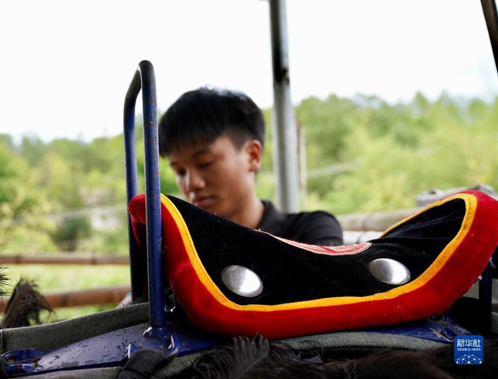 狮子机游戏下载